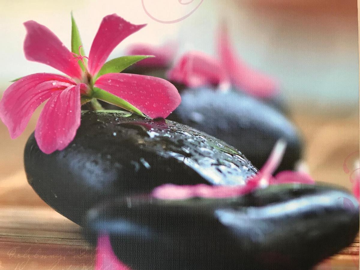 Naturapur 普莱因费尔德 外观 照片